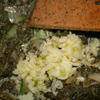 Lasagnes au saumon, épinards et courgettes